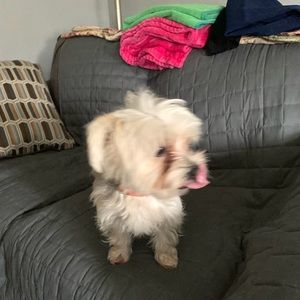 Meet your Posher, Kim